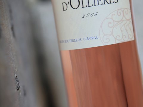 chateau dollieres 17
